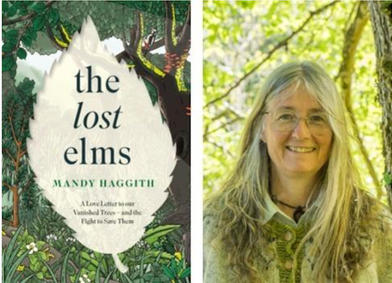 Book Lost Elms by Mary Haggith
