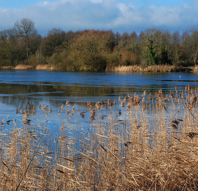 Coate Water Wiltshire