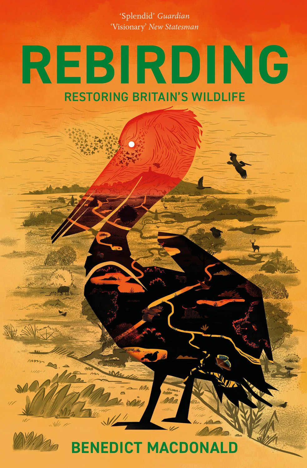 Rebirding by Benedict MacDonald