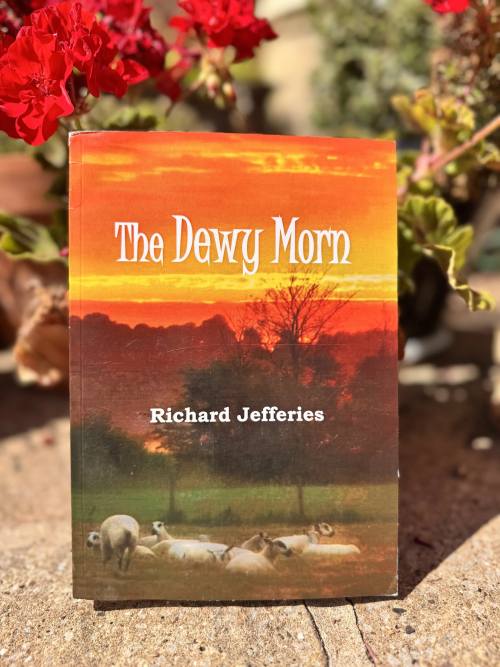 The Dewy Morn by Richard Jefferies