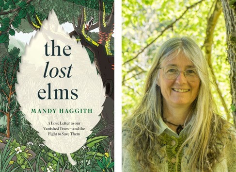 The Lost Elms by Mandy Haggith.